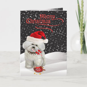 Cartão De Festividades Bichon Frise A Merry Christmas Greeting Card