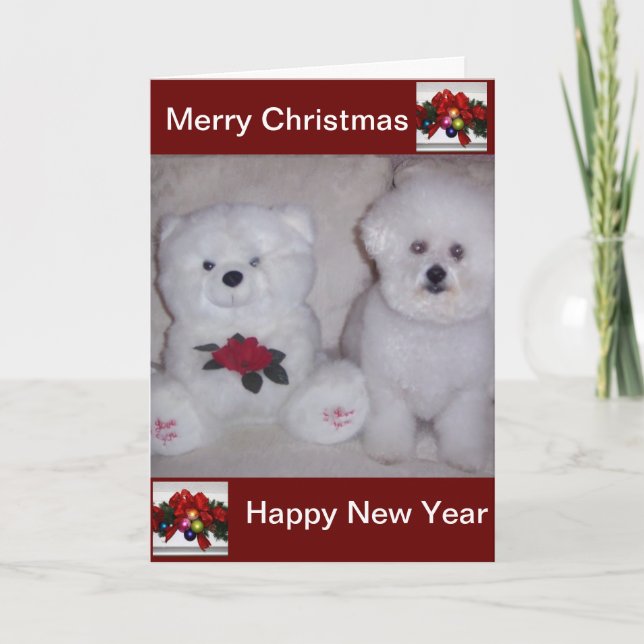 Cartão De Festividades Bichon frise christmas card (Frente)