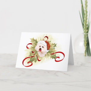 Cartão De Festividades Bichon Frise Christmas Cards