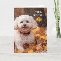 Bichon Frise de Ação de Graças com Folhas de Outon