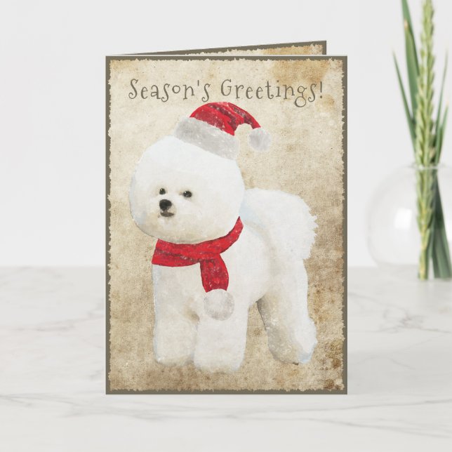 Cartão De Festividades Bichon Frise Holiday Card (Frente)