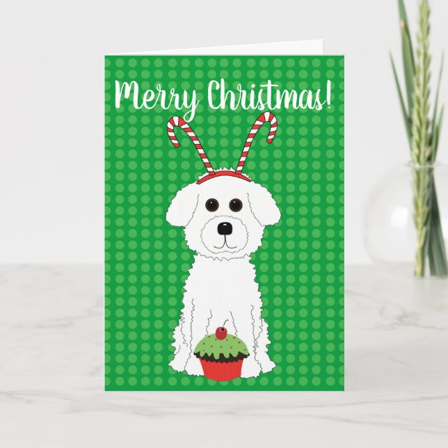 Cartão De Festividades Bichon Frise Merry Christmas Card (Frente)