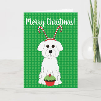 Cartão De Festividades Bichon Frise Merry Christmas Card