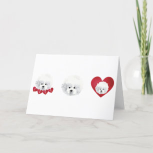 Cartão De Festividades Bichon Frise _ mestiço _