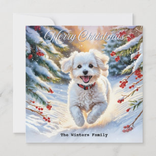 Cartão De Festividades Bichon Frise na neve cachorro fofo Natal de invern