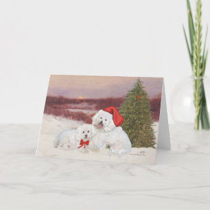 Cartão De Festividades Bichon Frise Natal