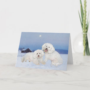 Cartão De Festividades Bichon Frise Noite de Dezembro