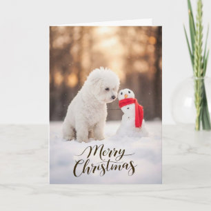 Cartão De Festividades Bichon Frise Papai Noel Homem de Neve