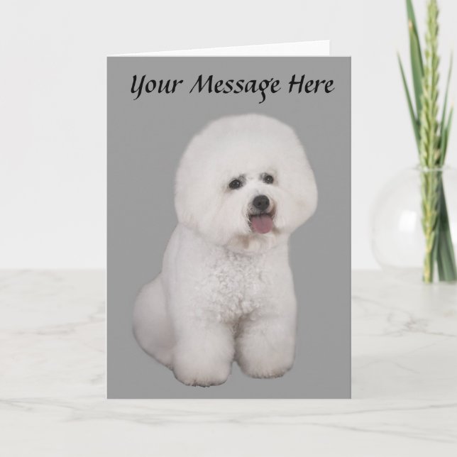 Cartão De Festividades Bichon Frise Precious Greeting Card (Frente)