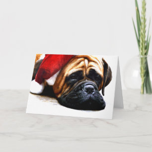 Cartão De Festividades Big Mastiff Dog in Santa Hat