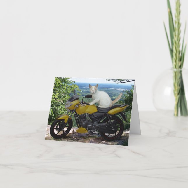 Cartão De Festividades Biker Cat Notecard (Frente)