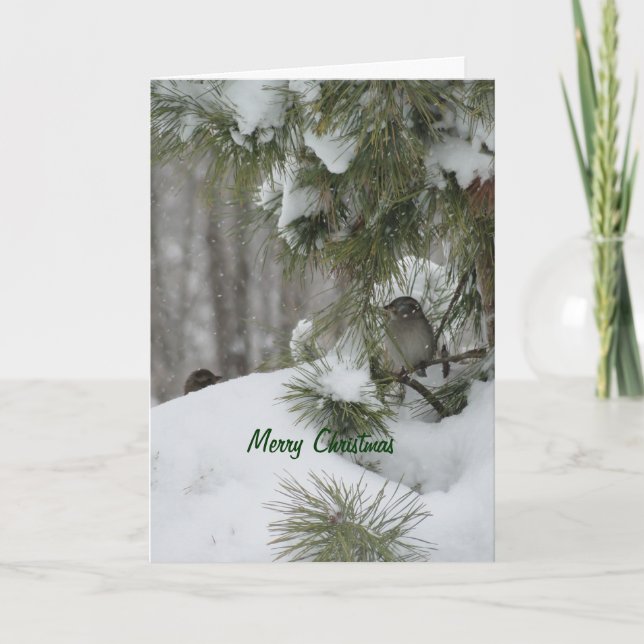 Cartão De Festividades Birds Christmas Shelter (Frente)