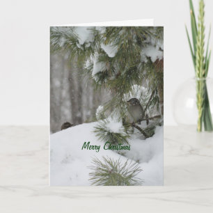 Cartão De Festividades Birds Christmas Shelter