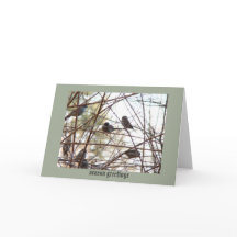 birds in the Bush greeting card