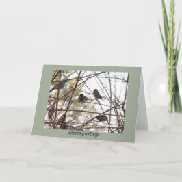Cartão De Festividades birds in the Bush greeting card