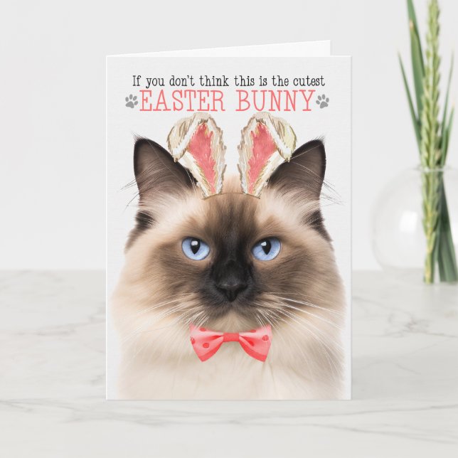 Cartão De Festividades Birman Cat em Bunny Ears para Páscoa (Frente)