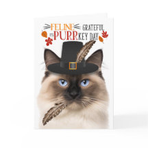 Birman Cat Feline Grateful para PURRkey Day