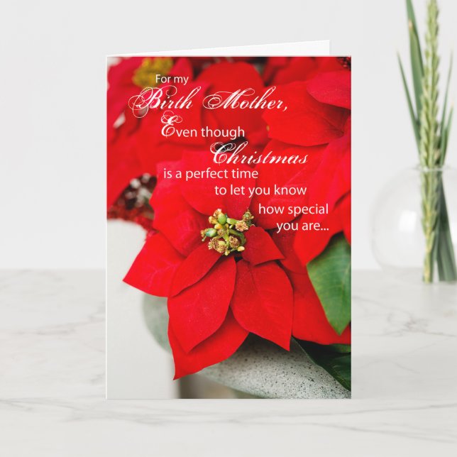 Cartão De Festividades Birth Mother Poinsettia Seasons Greetings (Frente)