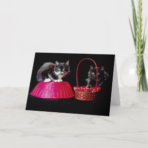 Cartão De Festividades Black and Gray Cats on Pink Easter Baskets