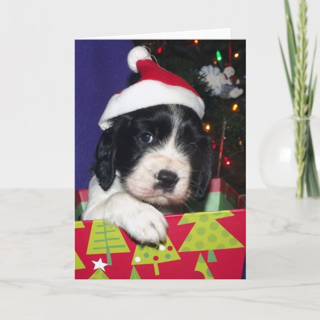 Cartão De Festividades Black and White English Springer Spaniel Christma (Frente)