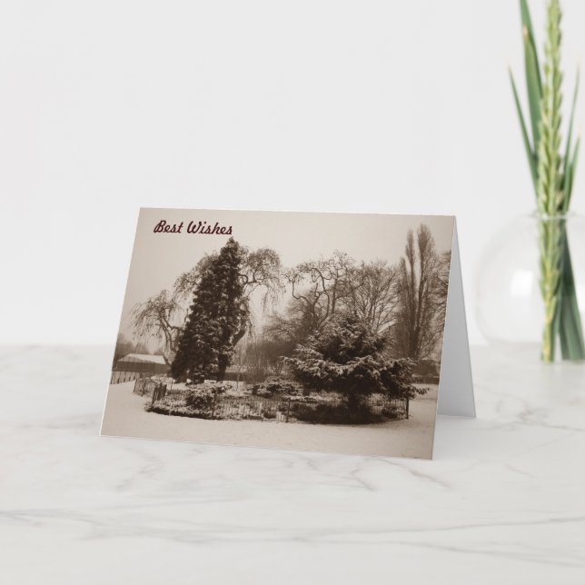 Cartão De Festividades black and white park snow scene photo chrismas (Frente)