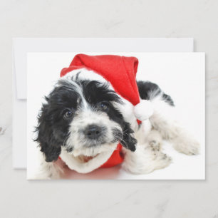 Cartão De Festividades Black and white puppy wearing Santa outfit