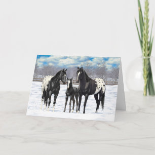 Cartão De Festividades Black Appaloosa Horses In Snow