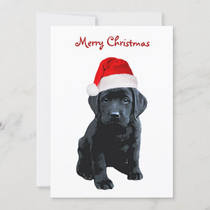Cartão De Festividades Black Lab Feliz Natal Labrador Cachorro de Papais
