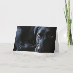 Cartão De Festividades Black Labrador