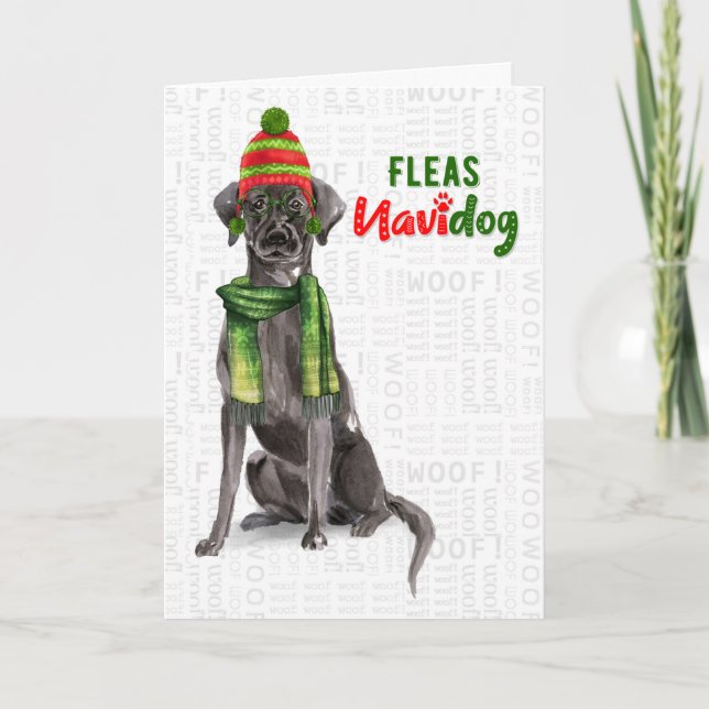 Cartão De Festividades Black Labrador Funny Fleas Navidog Holanda de Nata (Frente)