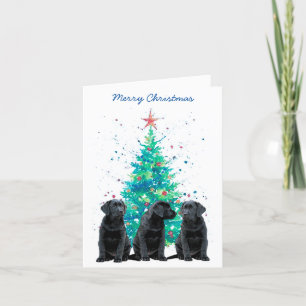 Cartão De Festividades Black Labrador Merry Christmas Cachorro Cachorro