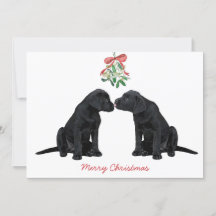 Black Labrador Mistletoe Cute Dog Puppy