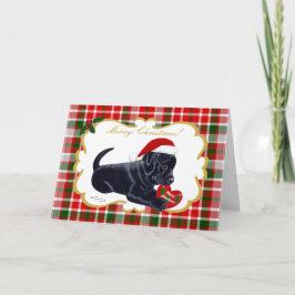 Cartão De Festividades Black Labrador Retriever Christmas Tartan