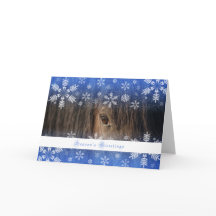 Black Mustang - 5x7 Holiday Card