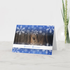 Cartão De Festividades Black Mustang - 5x7 Holiday Card