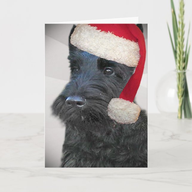 Cartão De Festividades Black Scottish Terrier Santa Card (Frente)