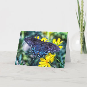 Cartão De Festividades Black Swallowtail sobre flores amarelas