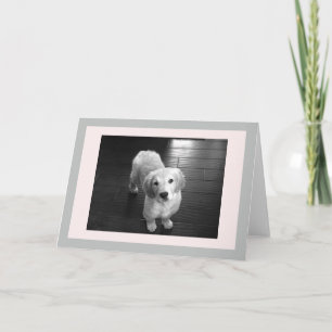 Cartão De Festividades Blank Golden Retriever Puppy Greeting Card