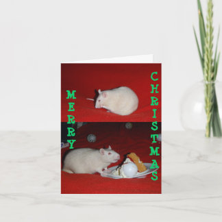 Cartão De Festividades Bliss, Bliss01, NATAL, FELIZ