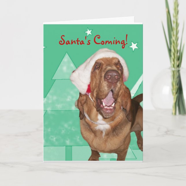 Cartão De Festividades Bloodhound Christmas Card (Frente)