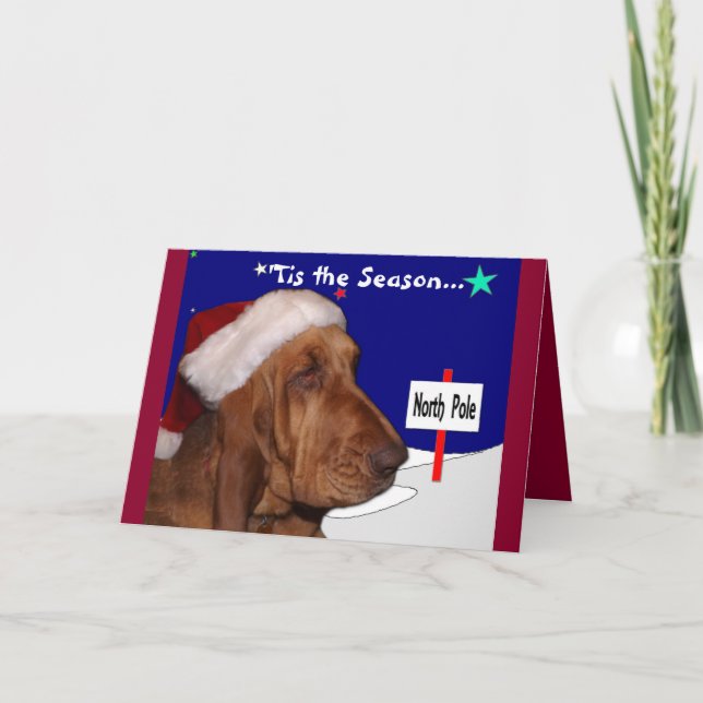 Cartão De Festividades Bloodhound Christmas Card (Frente)