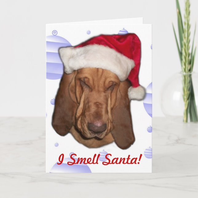 Cartão De Festividades Bloodhound Christmas Card (Frente)