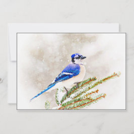 Cartão De Festividades Blue Jay in Snowy Pine Tree
