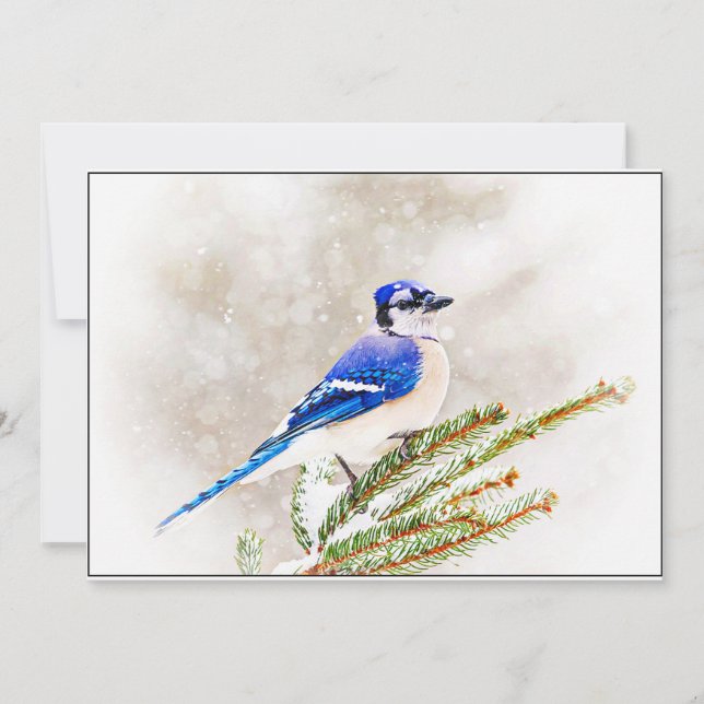 Cartão De Festividades Blue Jay in Snowy Pine Tree (Frente)