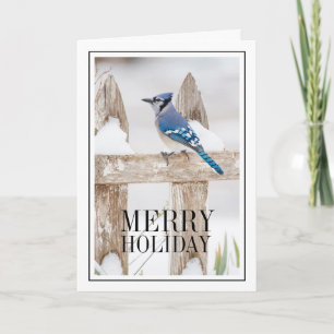 Cartão De Festividades Blue Jay Perked on Snowy Fence