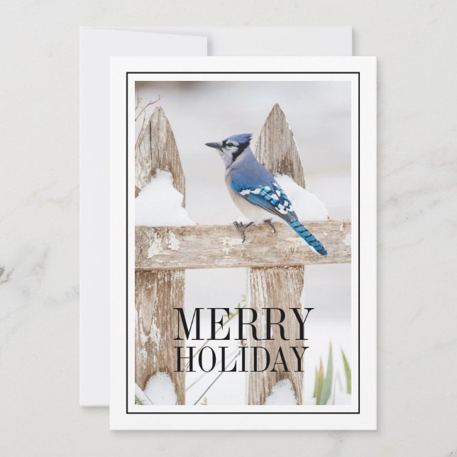 Cartão De Festividades Blue Jay Perked on Snowy Fence (Frente)