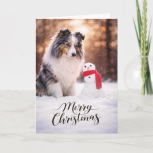 Cartão De Festividades Blue Merle Sheltie Boneco de Neve de Natal