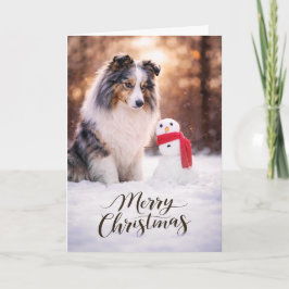 Cartão De Festividades Blue Merle Sheltie Christmas Snowman