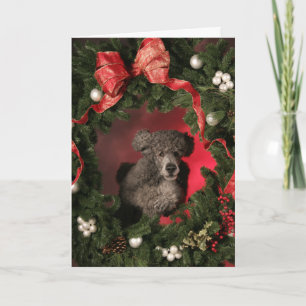 Cartão De Festividades Blue Poodle Jumping Through a Christmas Wreath
