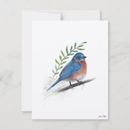 Cartão De Festividades Bluebird Bird Art
